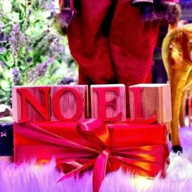 NOEL CÔ ĐƠN Ư! - EMPIRE LO TẤT TRAI XING GÁI ĐẸP
