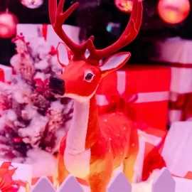 Đón Giáng Sinh Ấm Áp tại Empire Club